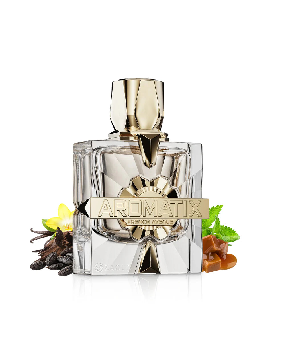 Perfume AROMATIX X XANDAL by French Avenue - Unissexo 100ml