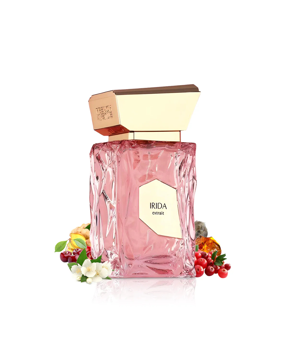 Perfume IRIDA French Avenue - Unissexo 100ml